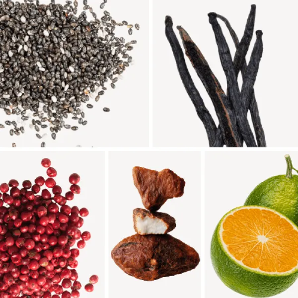 Duftnoten: Ambrettesamen, Vanille, rosa Pfeffer, Benzoe, grüne Mandarine Duftnoten: Ambrettesamen, Vanille, rosa Pfeffer, Benzoe, grüne Mandarine